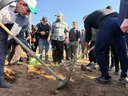 ‘Protecting the land and rebuilding’: How Syrians are restoring their forests