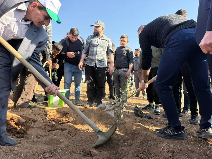 ‘Protecting the land and rebuilding’: How Syrians are restoring their forests