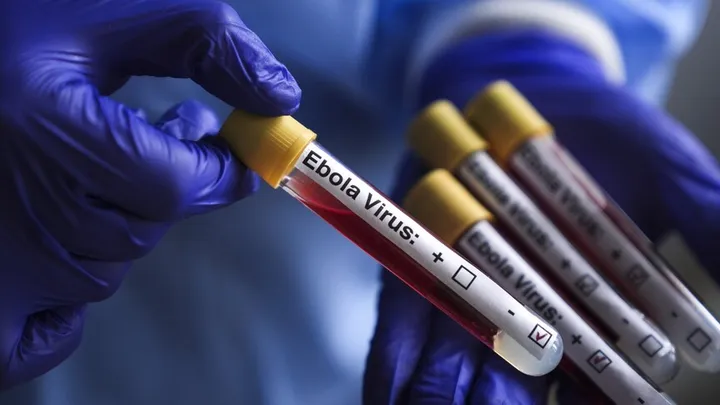 Italy flags two suspected Ebola cases in Milan linked to travel from Uganda