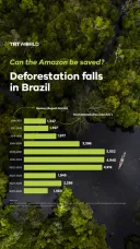 Can the Amazon be saved? Deforestation falls in Brazil