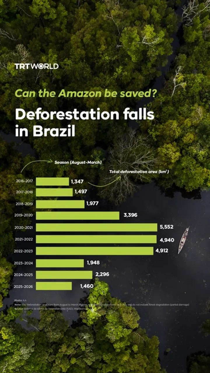 Can the Amazon be saved? Deforestation falls in Brazil