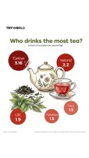 Who drinks the most tea?